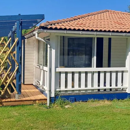 Joli Exotique A Biscarrosse-lac