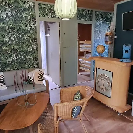 Joli Exotique A Biscarrosse-lac ביסקארוס