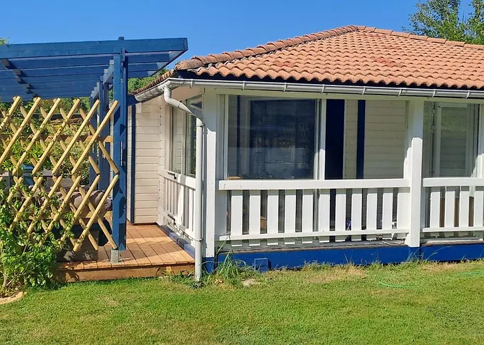 Joli Exotique A Biscarrosse-lac