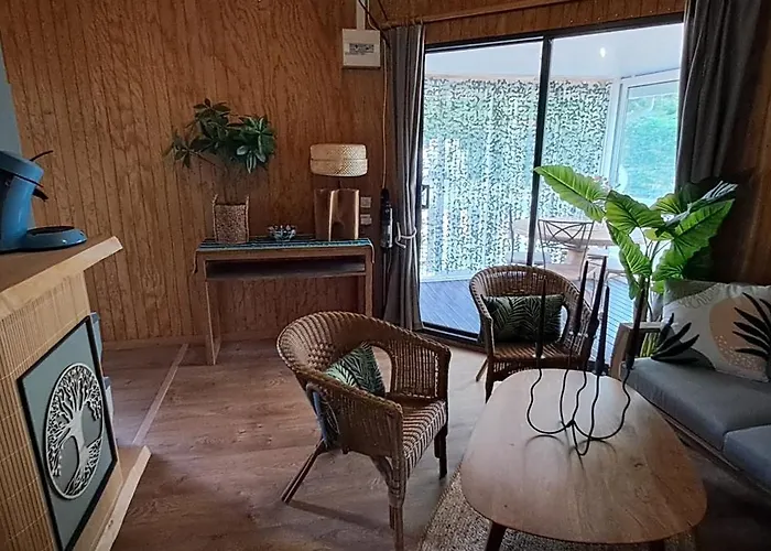 Joli Exotique A Biscarrosse-lac *