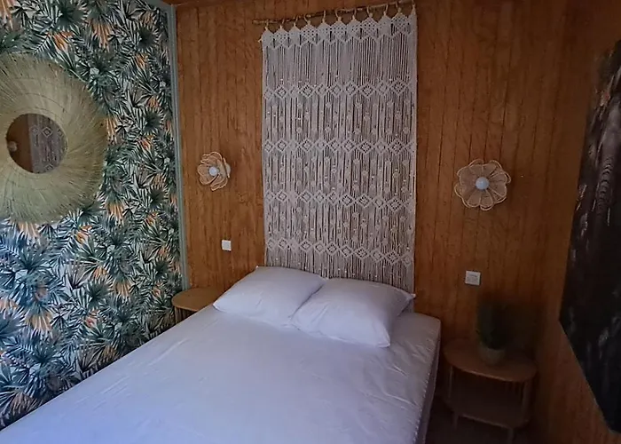 Joli Exotique A Biscarrosse-lac