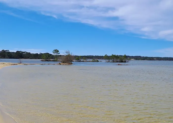 בית נופש Joli Exotique A Biscarrosse-lac *